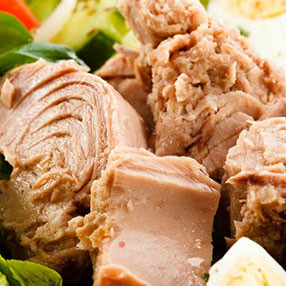 Tonhal konzervek Tonhal konzervek